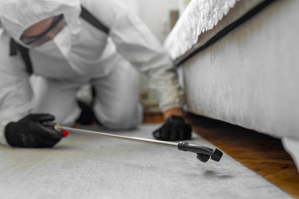 Professional Cockroach Control technician working in Lamar County County, TX